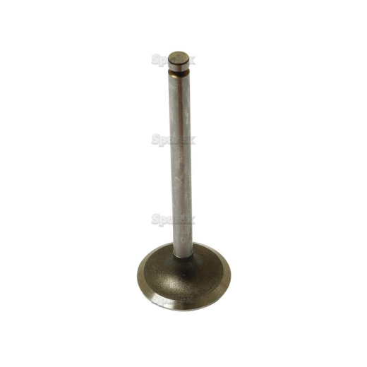 Inlet valve (31431681)