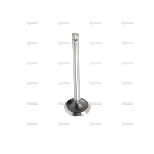 Inlet valve (3639238M1)