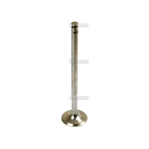 Inlet valve (3040361R1)