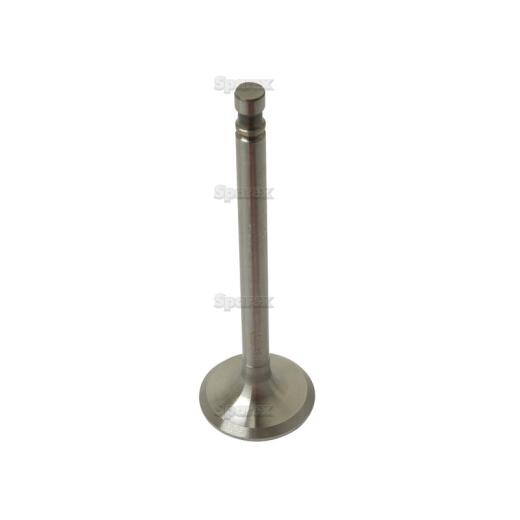 Inlet valve (4579416)
