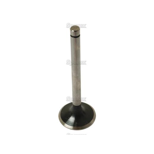 Inlet valve (69010555)