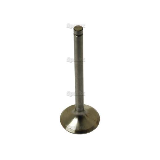 Inlet valve (80005014)