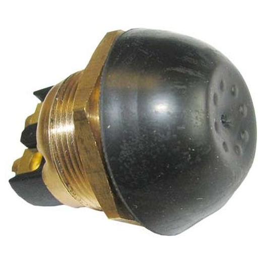 Push Button Switch (Horn) c/o Rubber Cap