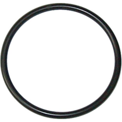 O RING_BS134