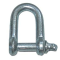 D Shackle & Pin 10mm (3/8)
