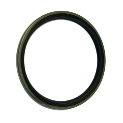 Front Axle Pivot Seal Ford 40 Series T4 T5 T6