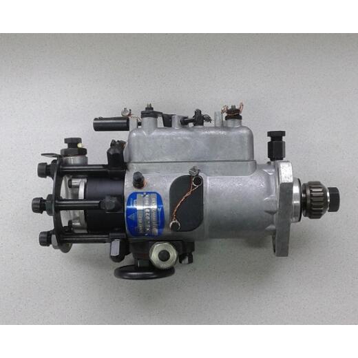 4 oder 6 Zylinder Motoren Dichtsatz für Lucas DPA Einspritzpumpen CAV von 3 