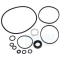 Servolenkung Pumpe Dichtung Kit DB/Ford