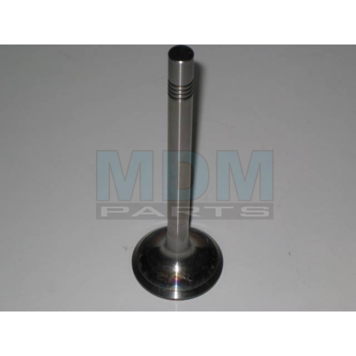 INTAKE VALVE 194906120, 2870974M1, TRW 2031