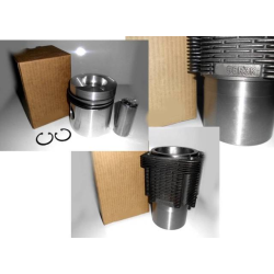 Piston / cylinder liner Assy with Piston rings (per...