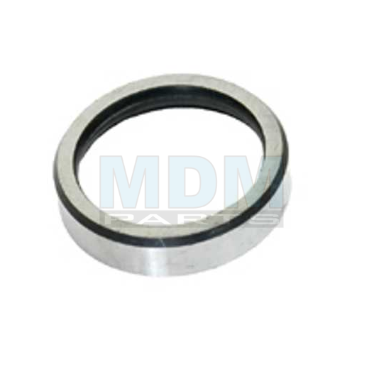 Valve-Seat Ring Inlet (02137302)