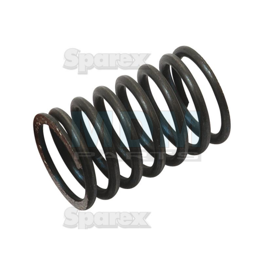 Valve spring inside (731153M1)