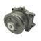 Water pump for Ford New Holland (83926007)