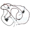 Wiring Loom 165 168 178